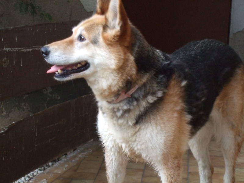 Ostern 2007 Orleshausen 097 